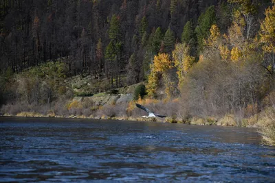 DSC_0247 (Large).JPG